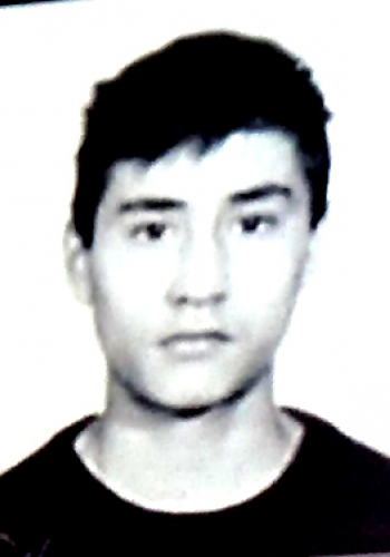 СИСИН Александр Евгеньевич (1975-1995)